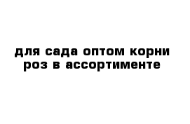 для сада оптом корни роз в ассортименте